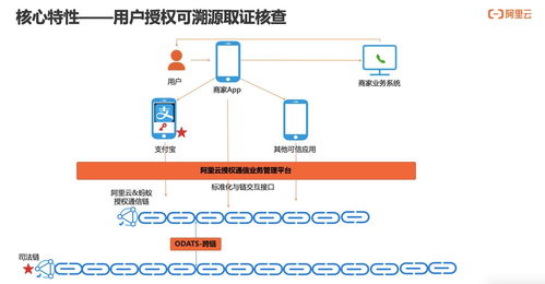 構建可信、可知、可追溯的用戶通信授權服務 技術深度解讀